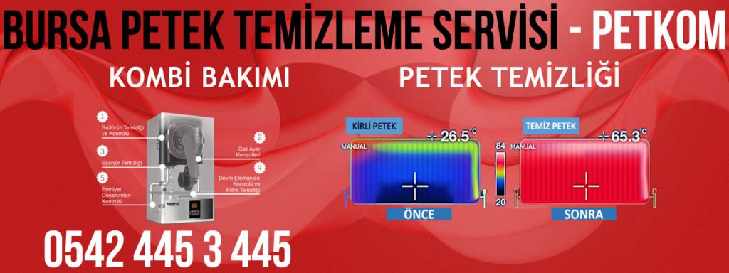Bursa Petek Temizlieme Şirketi