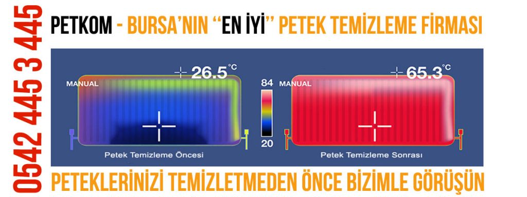 Bursa Petek Temizliği